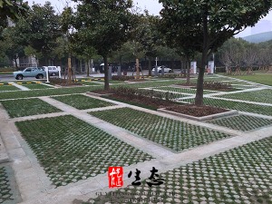 高承載植草地坪